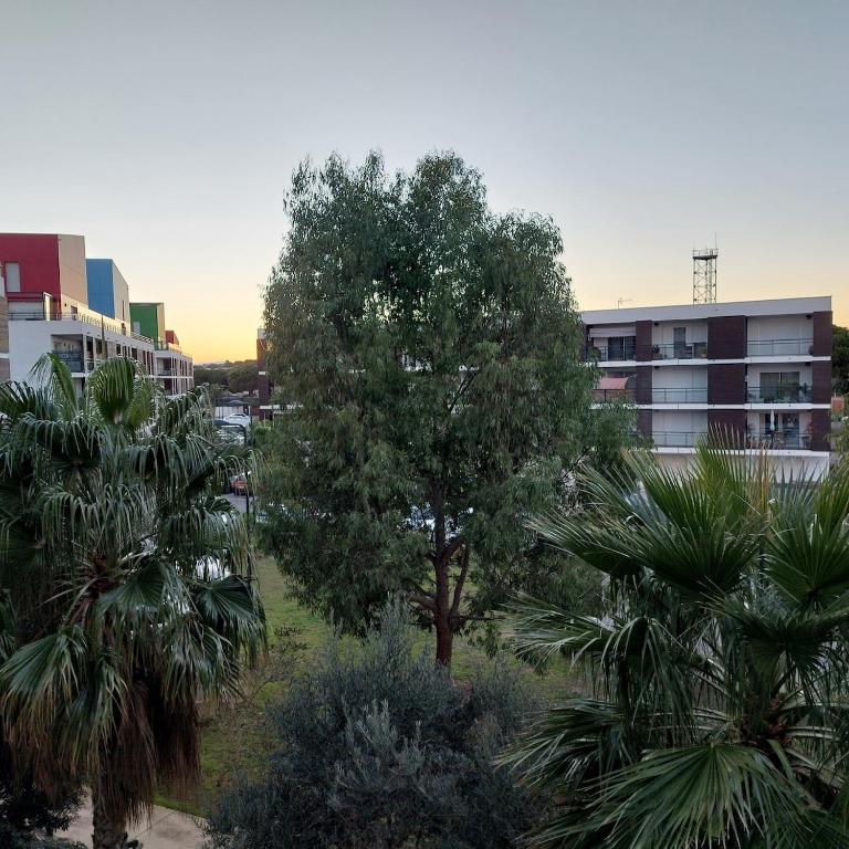Grand Studio à 300m de la plage dans Résidence calme - une seule pièce - Appartement 1 Chambre - 17