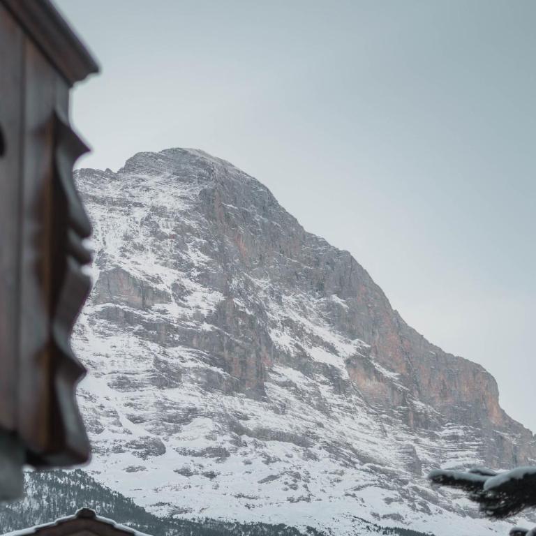Wohnung Homely - Nähe Grindelwald Terminal - Apartment mit 1 Schlafzimmer - 46
