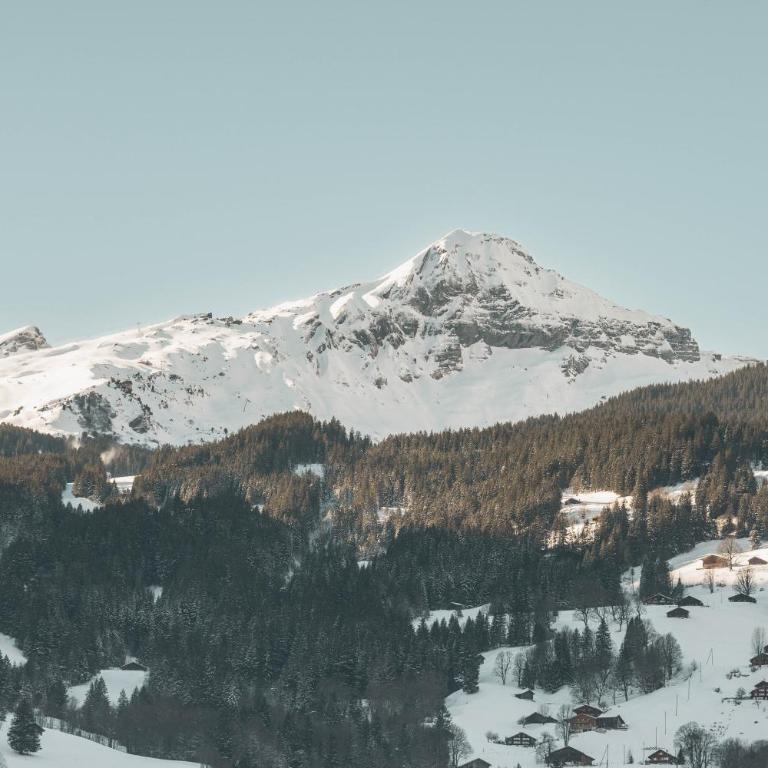 Wohnung Homely - Nähe Grindelwald Terminal - Apartment mit 1 Schlafzimmer - 54