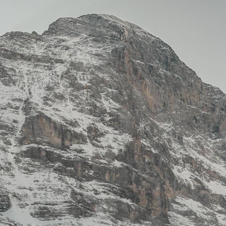 Wohnung Homely - Nähe Grindelwald Terminal - Apartment mit 1 Schlafzimmer - 57