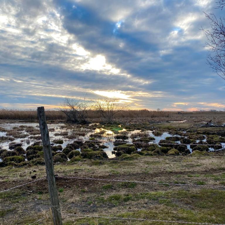 Altiora - Kuća sa 1 Spavaćom Sobom - 26