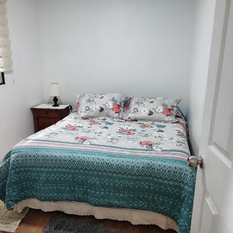 Cabaña amoblada Isla Teja - Apartamento - Planta baja - 8