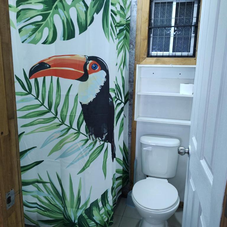 Cabaña amoblada Isla Teja - Apartamento - Planta baja - 13