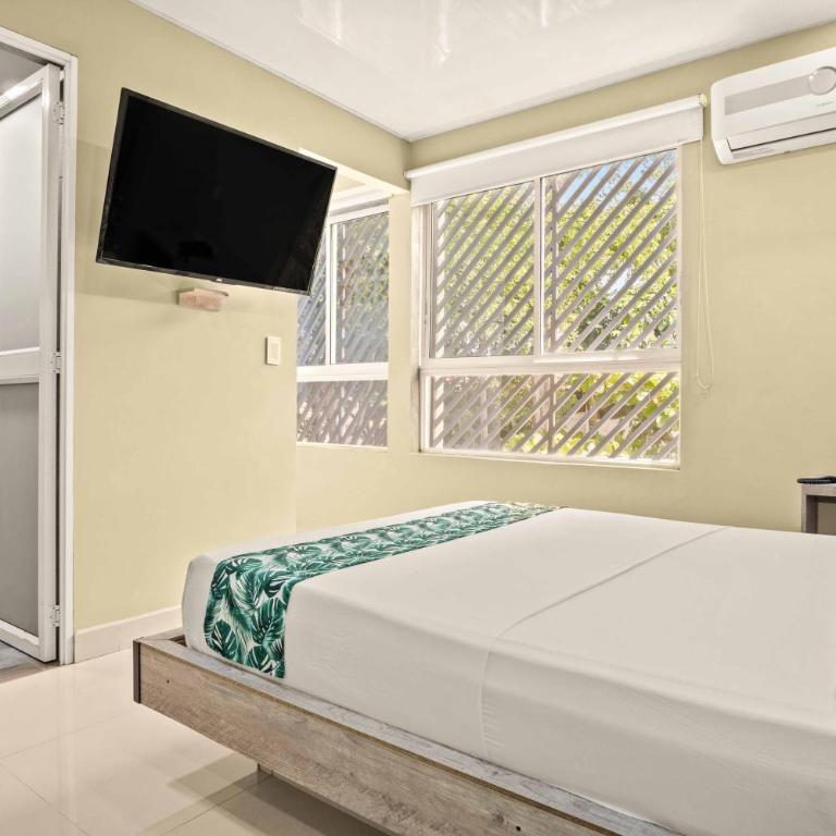 Hotel Eco Suite - Habitación Doble Superior - 4
