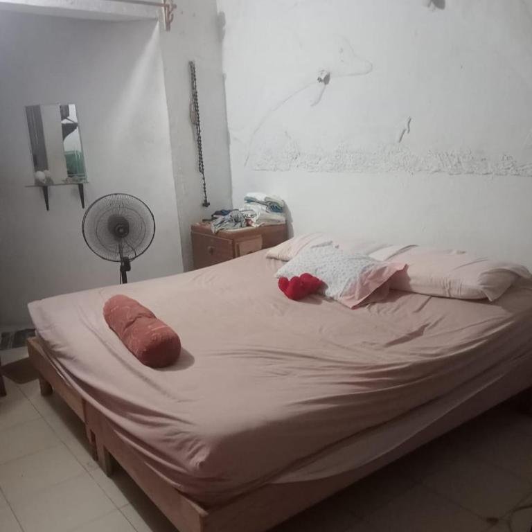 Rhinos House - Apartamento de 1 dormitorio - 1