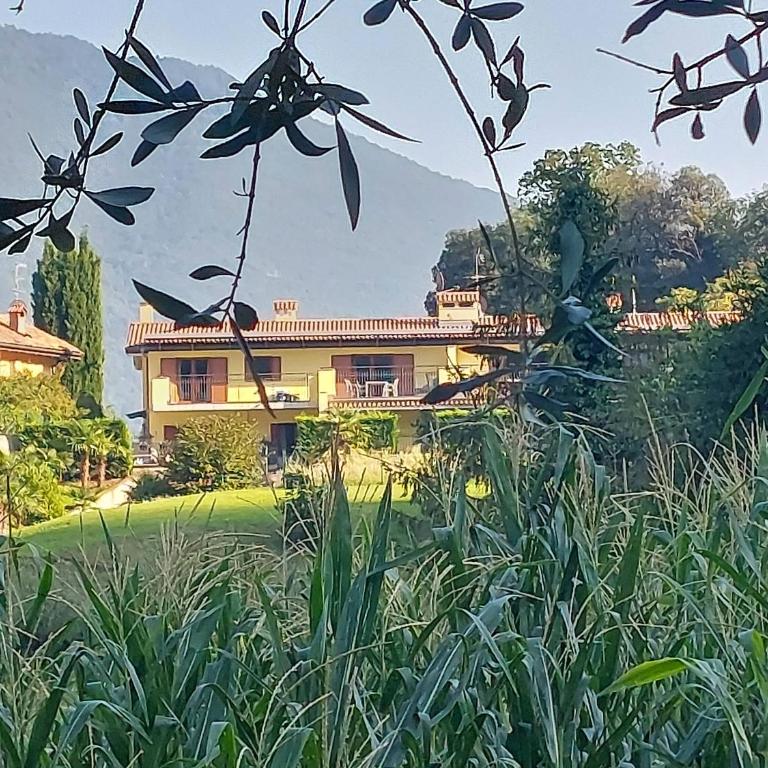 Apt Mountain Spirit, Arco - Appartamento con 1 Camera da Letto - 9