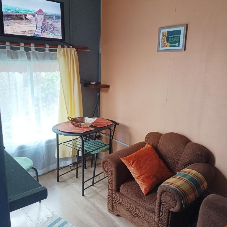 Departamento pequeño Frutillar - Apartamento de 1 dormitorio - 4