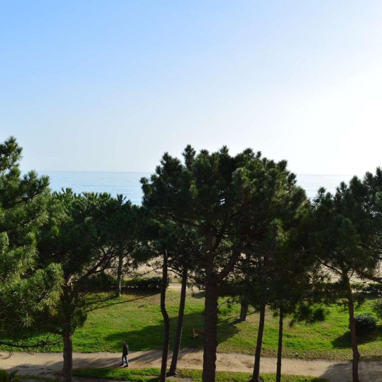 Appartement 2 pièces 3 couchages ARGELES SUR MER AR060-04F - Appartamento - 10