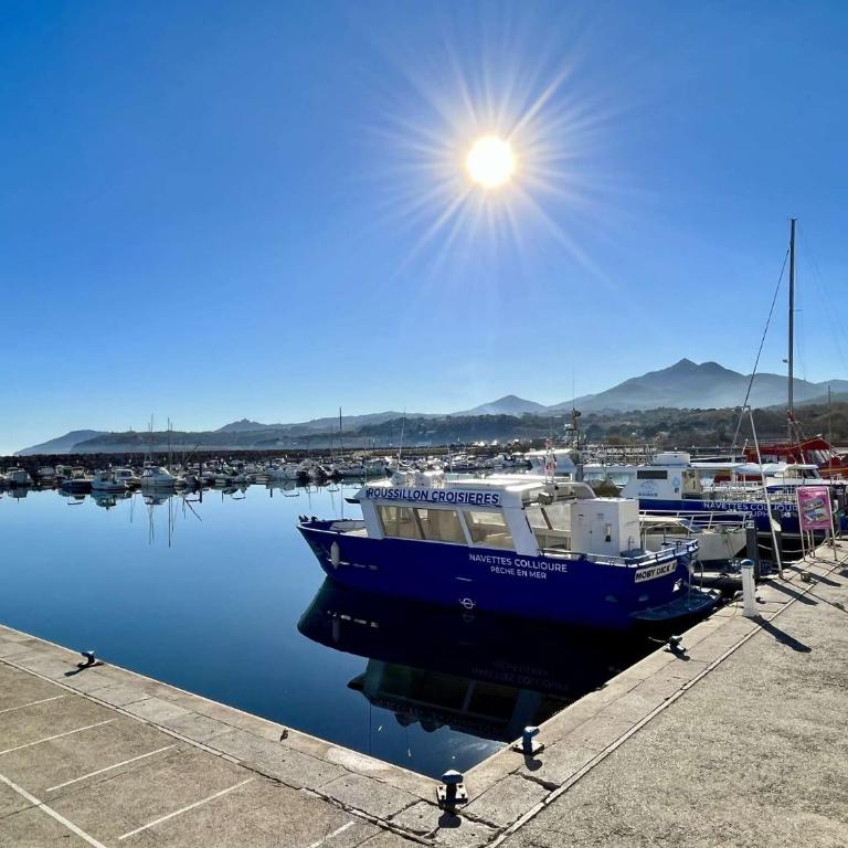 Appartement 2 pièces 3 couchages ARGELES SUR MER AR060-04F - Appartamento - 13