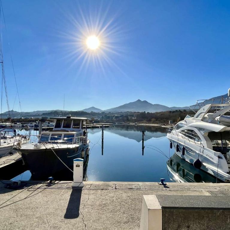 Appartement 2 pièces 3 couchages ARGELES SUR MER AR060-04F - Appartamento - 15