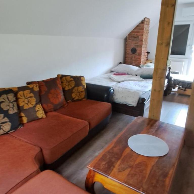 Apartmani Kamini RAVNA PLANINA - Family Studio - 9