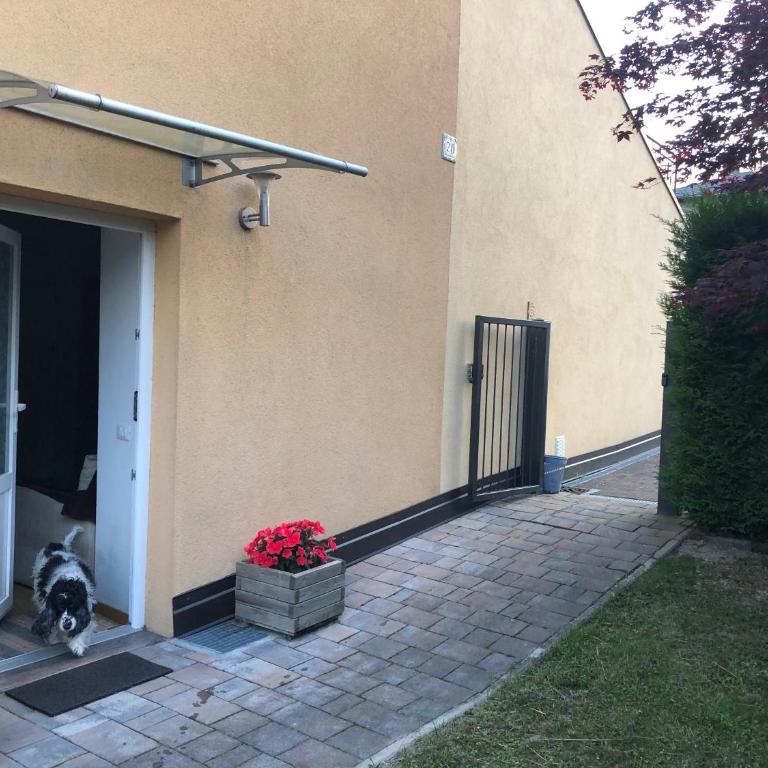 MiniLevico - Appartement 1 Chambre - 11