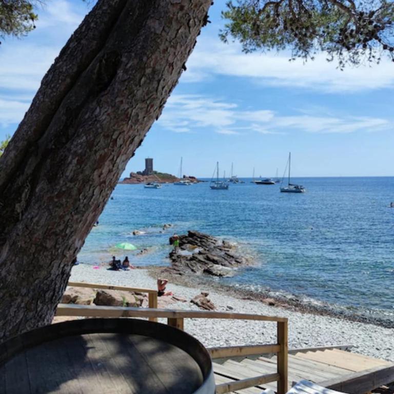 Charming T2 100 meters from the beach - Appartement - 21