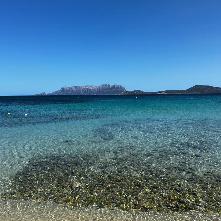La Casetta di Irene - Appartamento con 2 Camere da Letto - 13