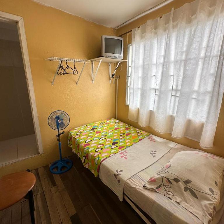 El Patriarca Hotel - Single Room with Garden View - 7