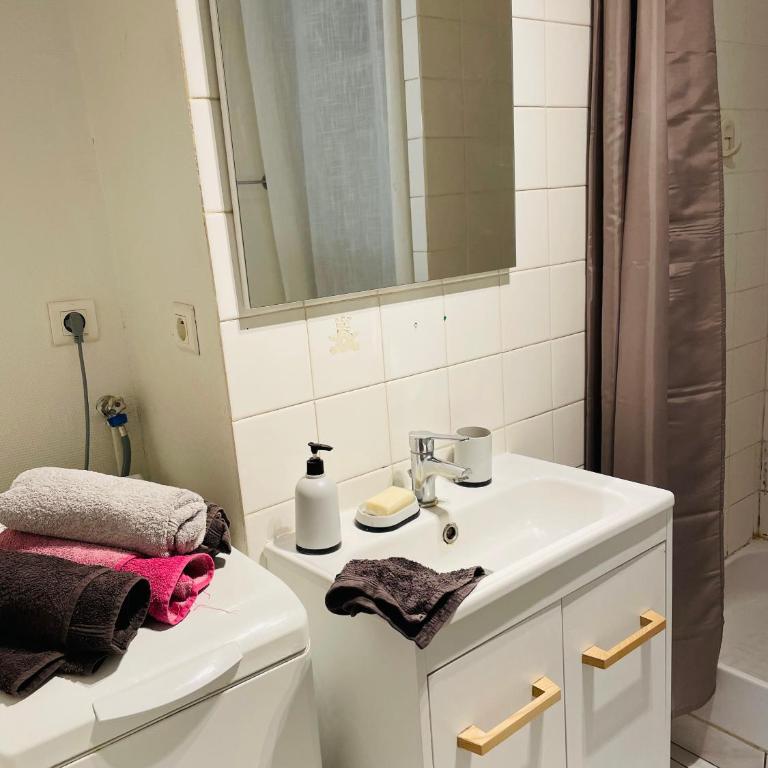 Départ tardif appartement T2 avec 1 chambre centre Orléans - Appartamento con 1 Camera da Letto - 21