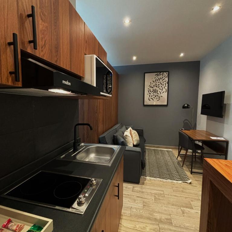 Punto Lofts Periférico Sur - Loft - 32