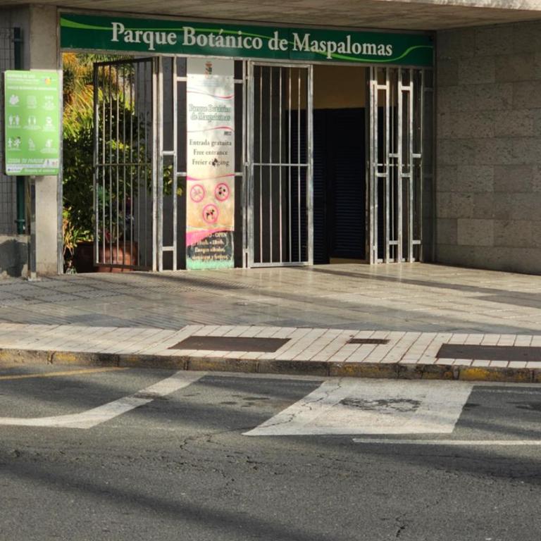 Playmar Relax - Bungalow de un dormitorio - 34