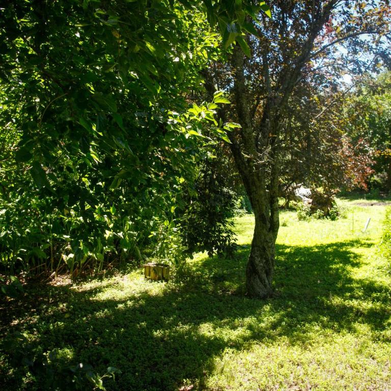 Alquilo Monoambiente por día - Apartamento de 2 dormitorios - 10