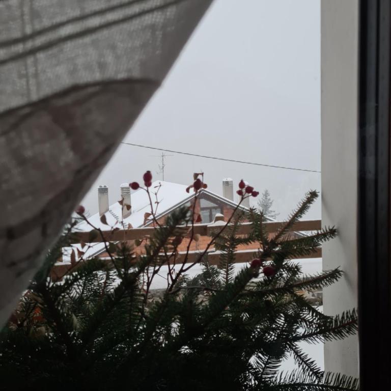 La Maison. La Roccia dello Stambecco - Appartamento con 1 Camera da Letto - 57