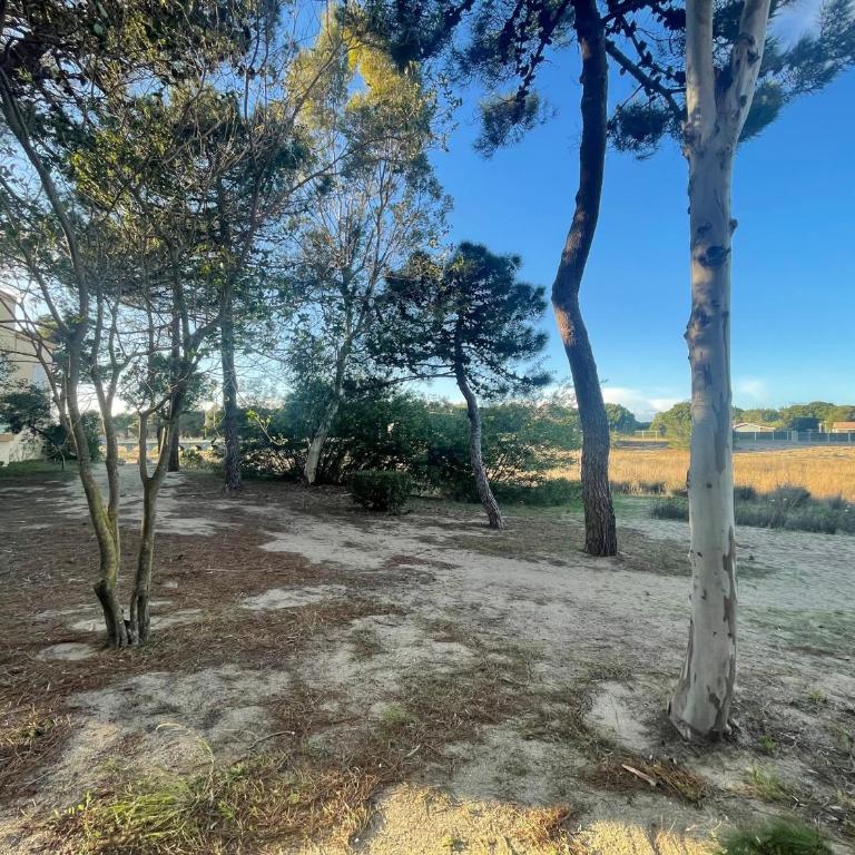 Argelès T2 plage, parc, parking, 4 pers - FR-1-309-489 - Apartment - 3