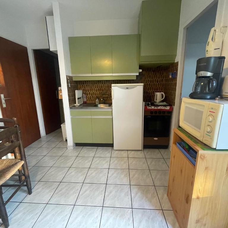 Argelès T2 plage, parc, parking, 4 pers - FR-1-309-489 - Apartment - 8