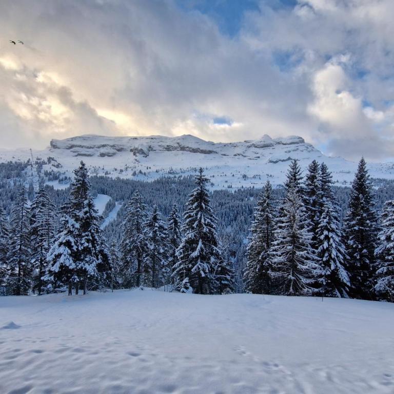 Appartement spacieux 6 pers, balcon, Flaine centre - FR-1-425-229 - Appartement - 8