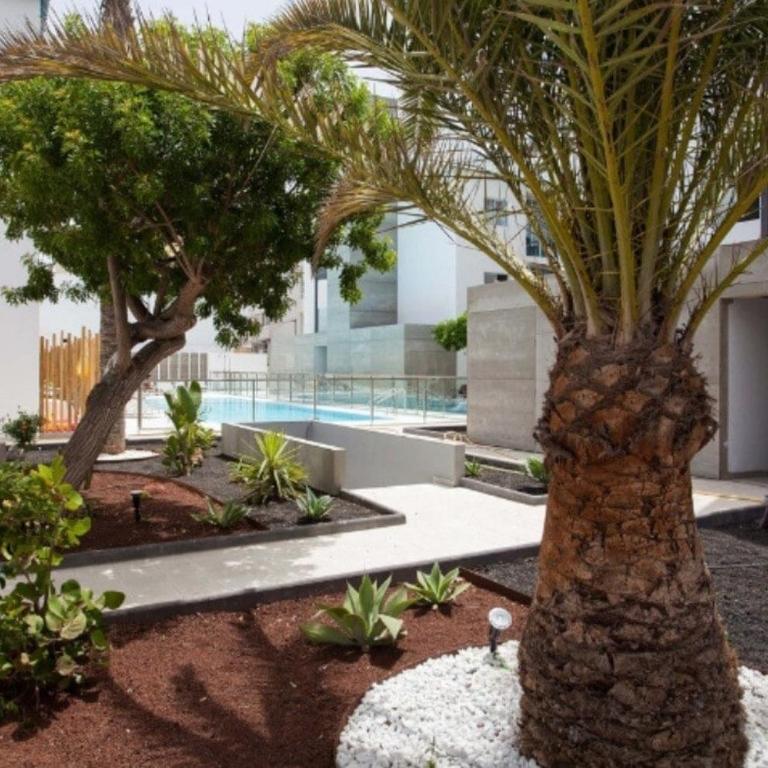 Bristol Sunset Corralejo Beach Piscina apartment - One-Bedroom Apartment - 6