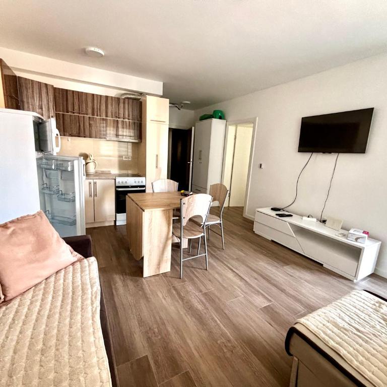 Mira Apartment - One-Bedroom Apartment - 3