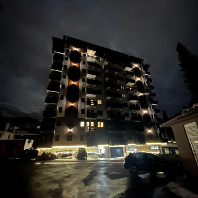 Apartman peđo zlatibor - Apartman sa 1 Spavaćom Sobom - 10