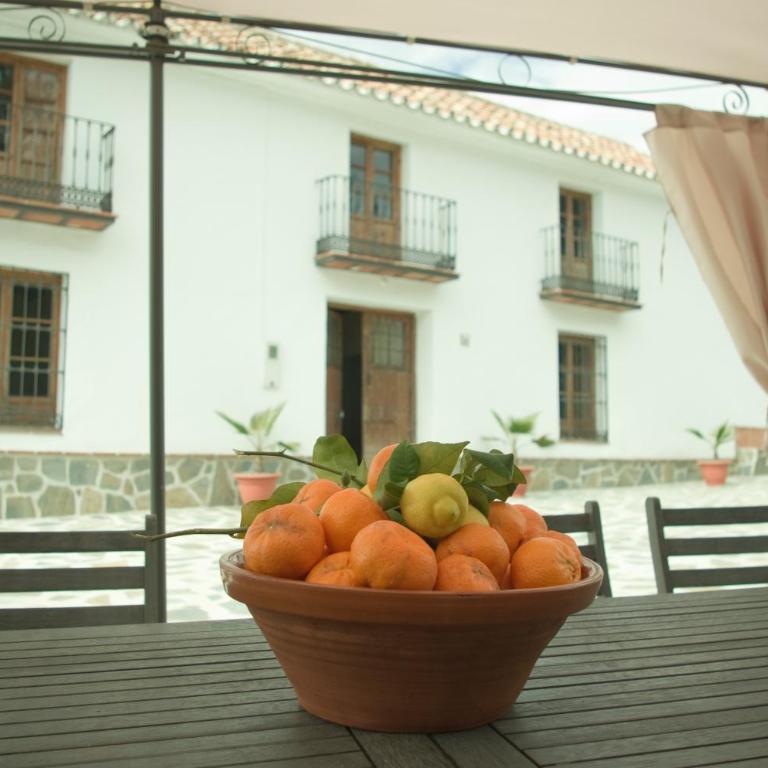 Rural Montes Málaga: Cortijo La Palma - Casa de 7 dormitorios - 20
