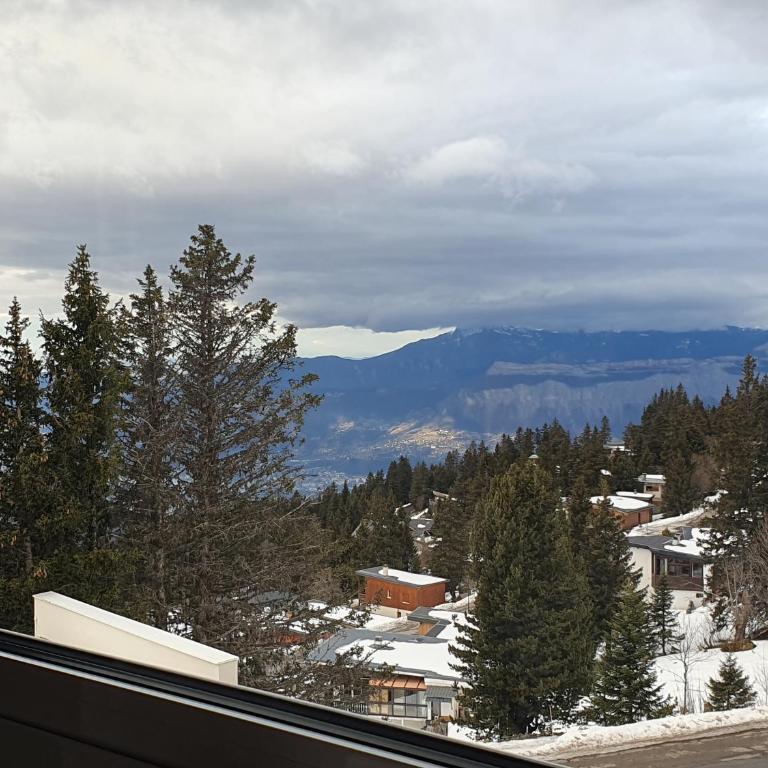 Chamrousse 1750 Studio T1 4 personnes 29m2 - Appartement 1 Chambre - 12