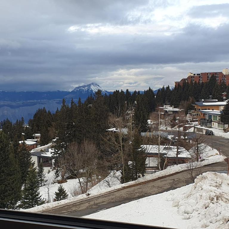 Chamrousse 1750 Studio T1 4 personnes 29m2 - Appartement 1 Chambre - 15