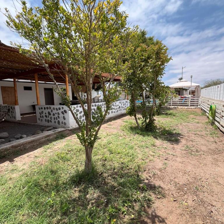 casa con piscina - Casa de 4 dormitorios - 2