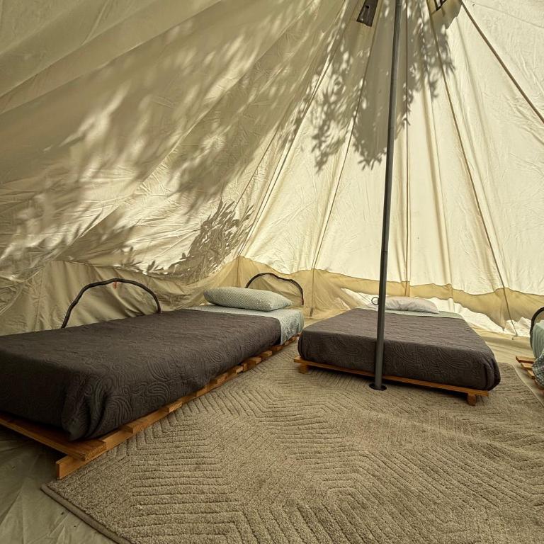 Glamping El Arbol - Naturaleza y Mar - Tienda - 13