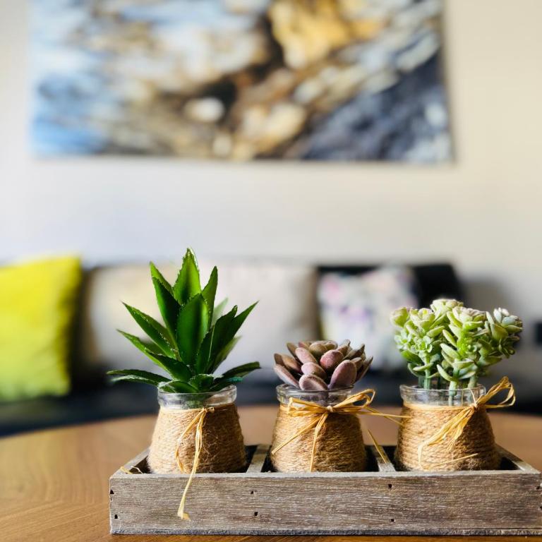Zona dorada: amplio departamento para 12 - Three-Bedroom Apartment - 20
