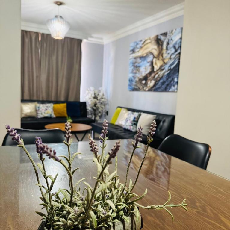 Zona dorada: amplio departamento para 12 - Three-Bedroom Apartment - 21