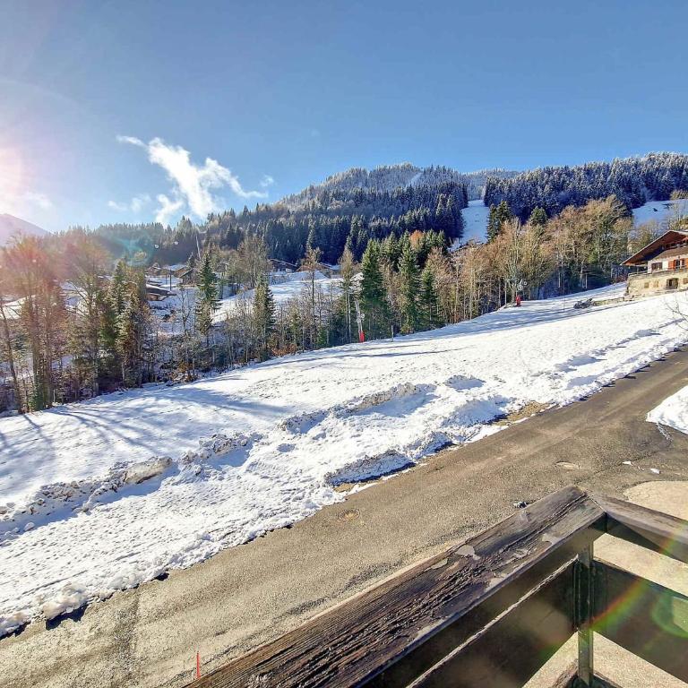Duplex confortable à La Clusaz - 6 pers, animaux admis - FR-1-818-50 - Apartamento - 9