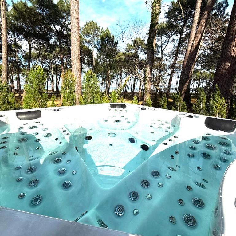 Maison du Lac avec Lagon, Spa de Nage, Jacuzzi - Villa - 2