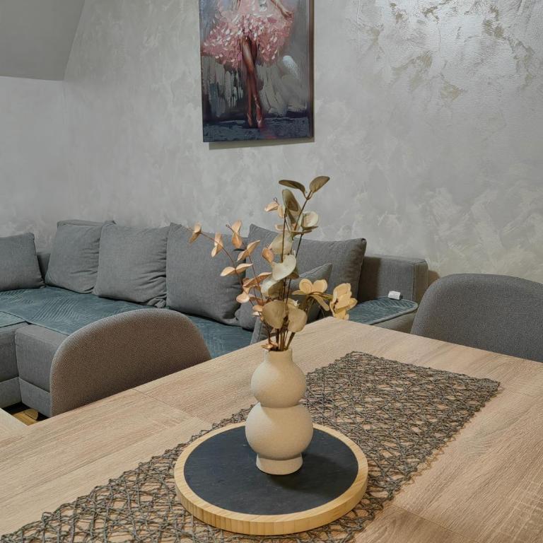 Vidra apartman - One-Bedroom Apartment - 2