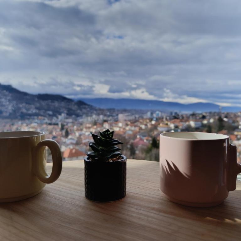 Panorama Hill Sarajevo - Two-Bedroom Apartment - 37
