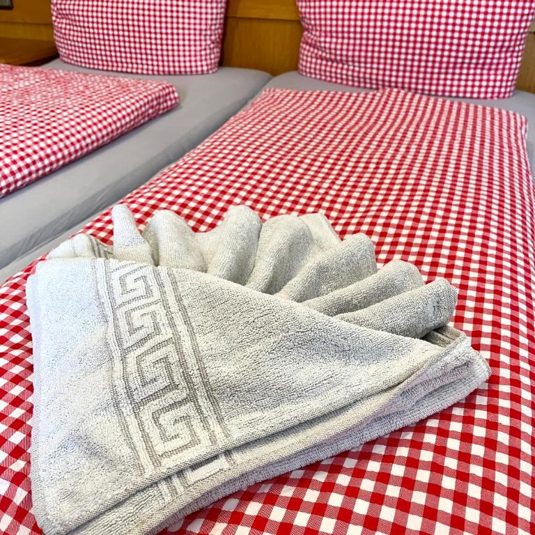13 BERGFEX Alpensonne mit Sommer-Bergbahnticket - Apartment mit 1 Schlafzimmer - 10