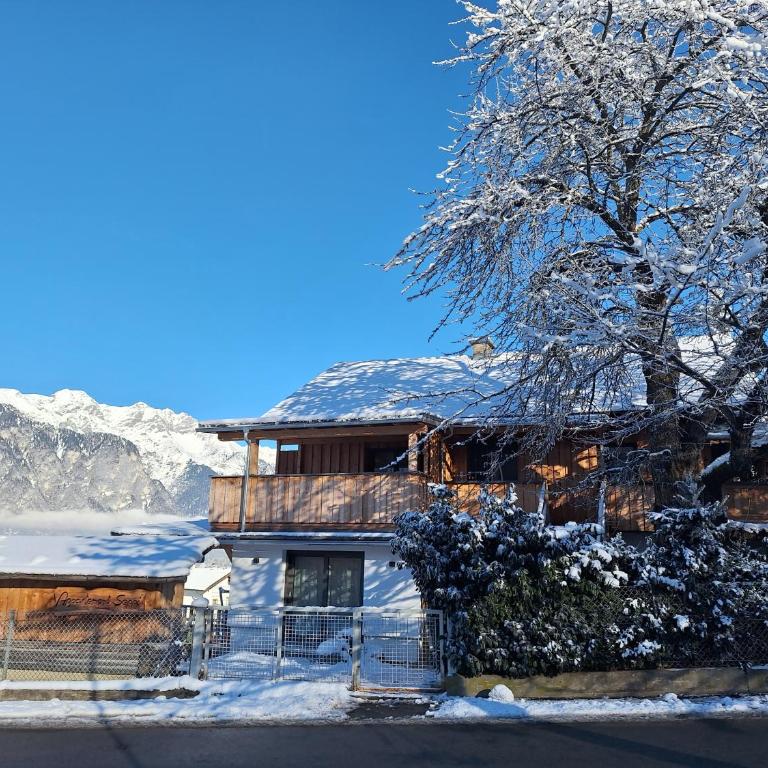 Appartement Seppi - Apartment 1 - 7