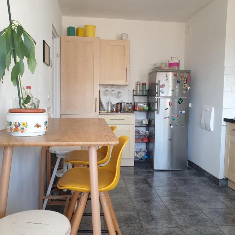 Bel appartement lumineux T3 Terrasse - Appartamento con 2 Camere da Letto - 29