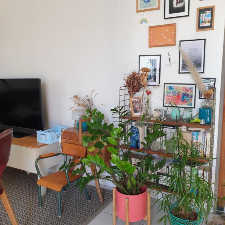 Bel appartement lumineux T3 Terrasse - Appartamento con 2 Camere da Letto - 3