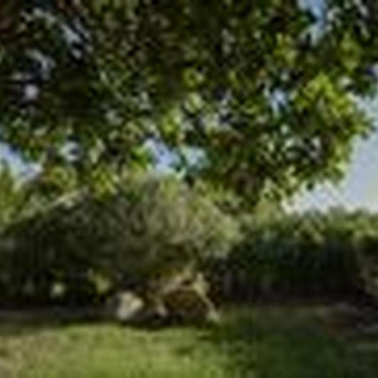 Welcomely - Villa Adele - Appartamento con 3 Camere da Letto - 26