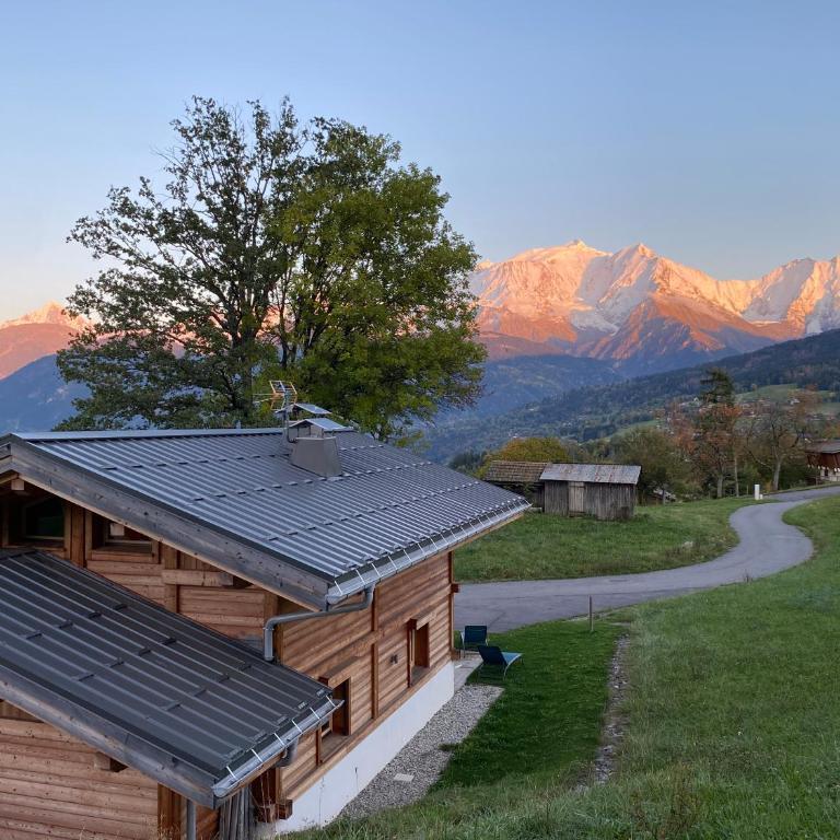 Les Ours de Combloux - Chalet - 1