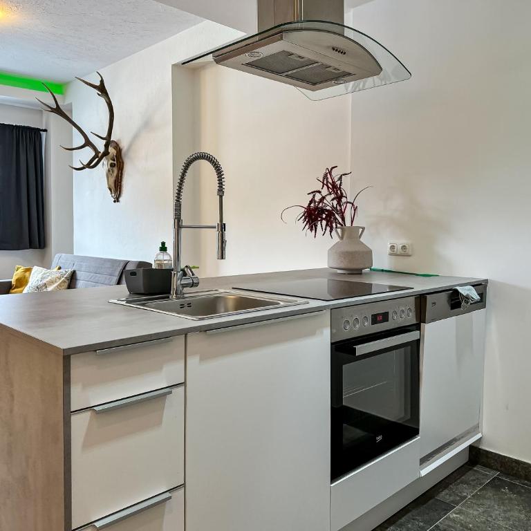 Our's Living - modern Apartments with Sauna near Kitzbüheler Alpen ski lift - Apartment - Erdgeschoss - 22