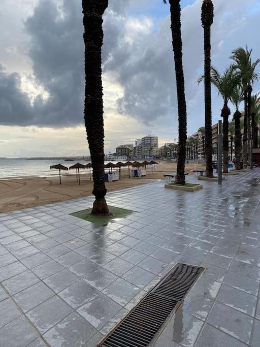 En Torrevieja Acogedor a 200 metros la playa WIFi - Apartamento de 2 dormitorios - 10