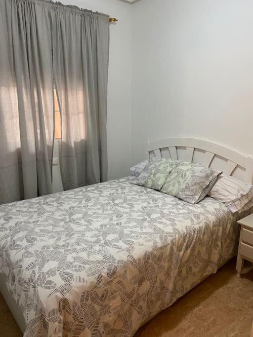 En Torrevieja Acogedor a 200 metros la playa WIFi - Apartamento de 2 dormitorios - 20